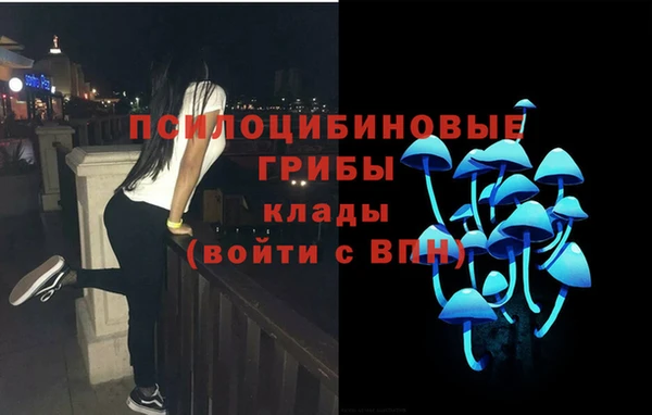 Альфа ПВП Волоколамск