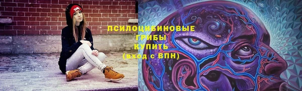 прущий лед Вязники