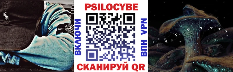 Псилоцибиновые грибы Psilocybe Купить где Благодарный